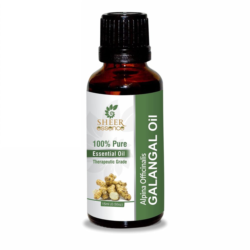 Galangal Root Oil -(Alpinia Galanga)- Essential Oil 100% Pure Natural Undiluted Uncut Therapeutic Grade Oil 8.45 Fl.OZ