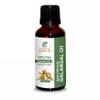 Galangal Root Oil -(Alpinia Galanga)- Essential Oil 100% Pure Natural Undiluted Uncut Therapeutic Grade Oil 8.45 Fl.OZ view 1