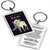 Year Of the Ram (Goat), Chinese New Year Special 6 pc. Gift Set view 3