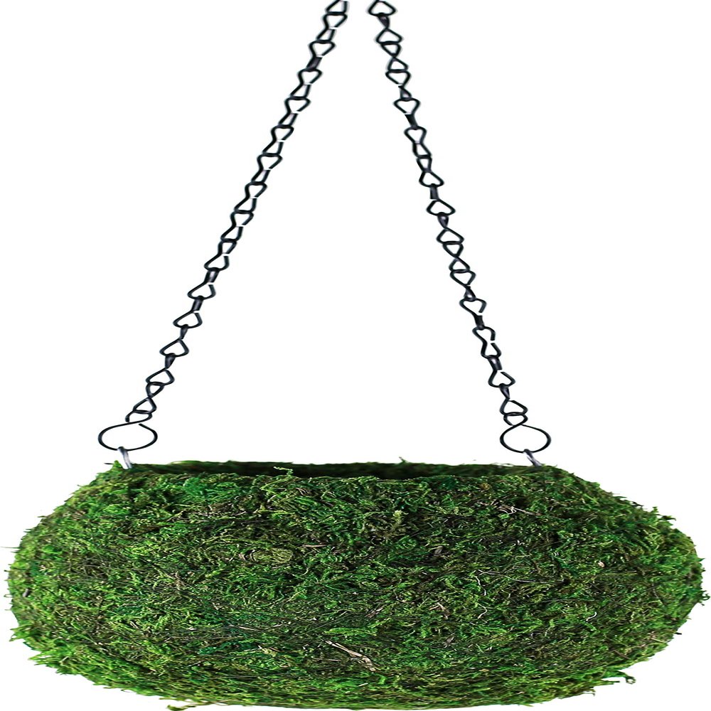 BELLA MOSS 6" Kokedama