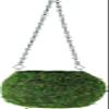 BELLA MOSS 6" Kokedama view 1