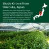 VAHDAM, Vanilla Matcha Green Tea Powder - 1.76oz | Pure Madagascar Vanilla + Premium Authentic Japanese Matcha | Hot or Iced - Vegan & Gluten-Free view 4