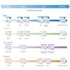 McKesson Ultra Pads for Women, Incontinence, Heavy Absorbency, 14 in, 42 Count, 4 Packs, 168 Total view 3
