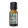 Best Cinnamon Bark Essential Oil Pure Certified Organic Therapeutic Grade 10ml view 1