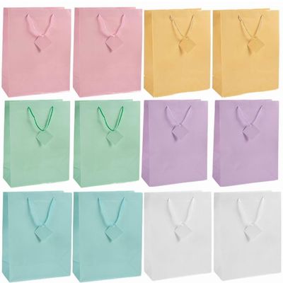 Fun Express - Large Pastel Gift Bags for Party - Party Supplies - Bags - Paper Gift W & Handles - Party - 12 Pieces