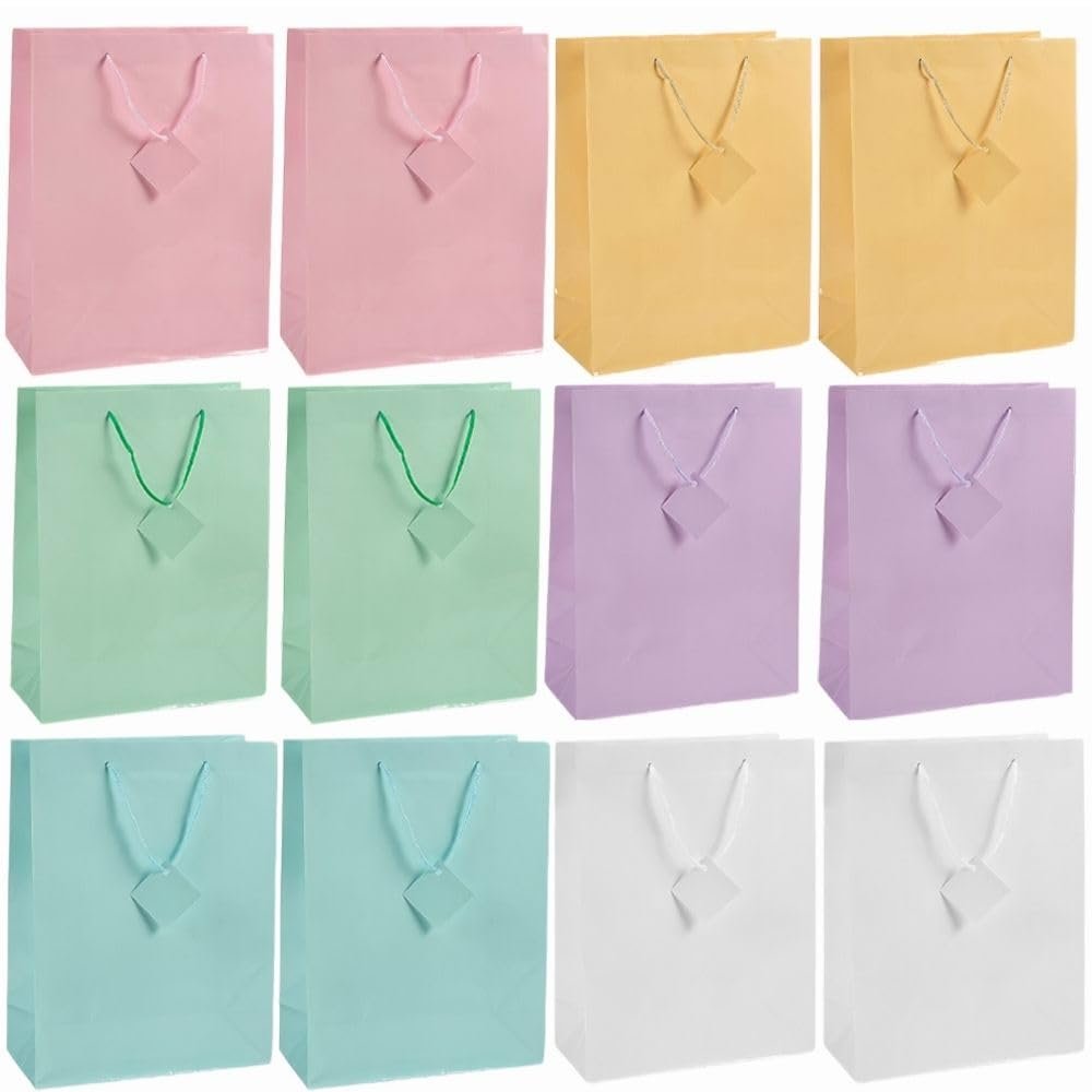 Fun Express - Large Pastel Gift Bags for Party - Party Supplies - Bags - Paper Gift W & Handles - Party - 12 Pieces