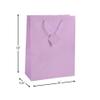 Fun Express - Large Pastel Gift Bags for Party - Party Supplies - Bags - Paper Gift W & Handles - Party - 12 Pieces view 2