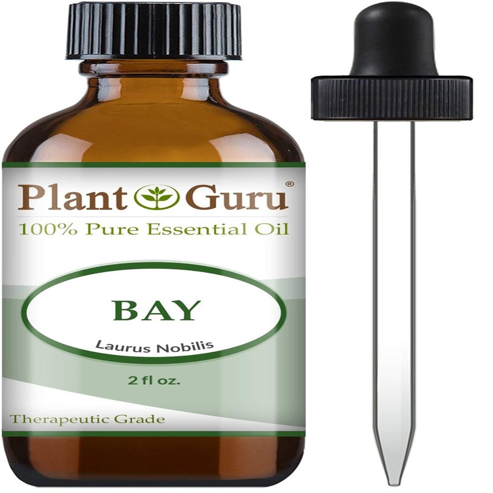 Bay Essential Oil 2 oz Laurus nobilis 100% Pure Undiluted Therapeutic Grade.