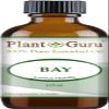 Bay Essential Oil 2 oz Laurus nobilis 100% Pure Undiluted Therapeutic Grade. view 2