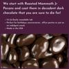 Dark Chocolate Pecans - 1.5 Lb Tub view 3