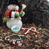 Earth Bands North Pole Bracelet (Green) view 3