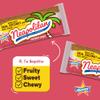 Atkinson's Neapolitan Coconut Bar Strawberry Vanilla Chocolate 1.65oz 24ct Pack view 3