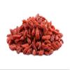 Goji Berries (12lb Case) view 1