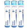 Boiron Arnica Montana 9C Homeopathic Medicine for Muscle Pain and Stiffness - Pack of 3 (240 Pellets) view 1