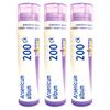 Boiron Arsenicum Album 200ck Homeopathic Medicine for Diarrehea with Vomiting and Weakness - Pack of 3 (240 Pellets) view 1