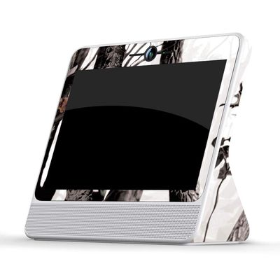 MightySkins Skin Compatible with Facebook Portal - Artic Camo | Protective, Durable, and Unique Vinyl Decal wrap Cover | Easy to Apply, Remove, and Change Styles | Made in The USA