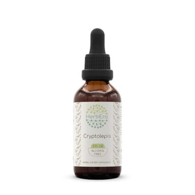HerbEra Cryptolepis B60 Alcohol-Free Herbal Extract Tincture, Super-Concentrated Wildcrafted Cryptolepis (Cryptolepis Sanguinolenta) Dried Root (2 fl oz)