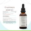HerbEra Cryptolepis B60 Alcohol-Free Herbal Extract Tincture, Super-Concentrated Wildcrafted Cryptolepis (Cryptolepis Sanguinolenta) Dried Root (2 fl oz) view 3