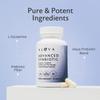 Alaya Naturals Advanced Synbiotic - Probiotic + Prebiotic - 14 Billion CFU Delayed Release Probiotic Supplement with Prebiotics from Sunfiber, and L-glutamine for Gut Lining Integrity - 60 Capsules view 2