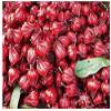 Mut Hoa Hong - Hibiscus Flowers Snack view 4