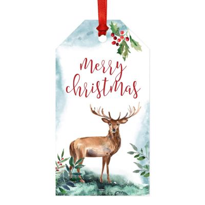 Andaz Press Christmas Classic Gift Tags, Watercolor Deer, Merry Christmas, 20-Pack