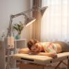 OUBO Brand Portable Magneti Heat with Floor Standing Style Lamp Double-Headed Style CQG-222AA view 3