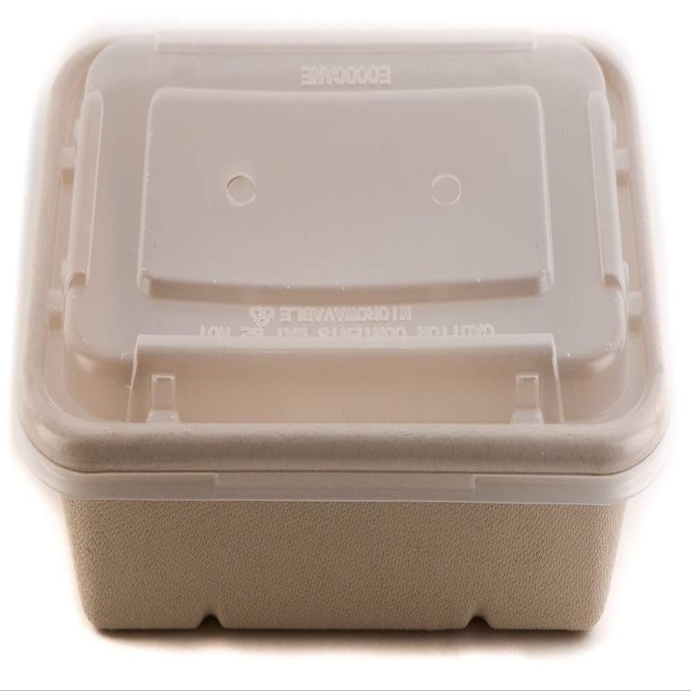 [100 Pack] 34oz Compostable Eco Friendly Container Trays with Lids - Rectangular Oblong Tree Free Sugarcane Bagasse Meal Prep Bento Boxes Take Out Catering Microwavable Deep Container by EcoQuality