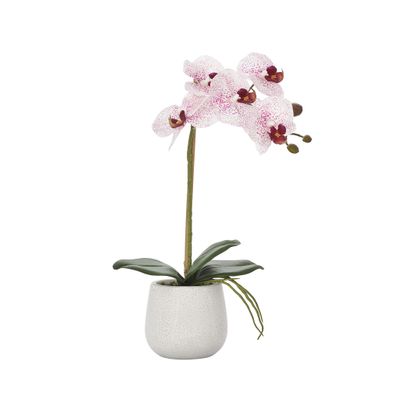 Torre & Tagus Phalaenopsis Potted 15" Single Stem Orchid Beautiful Detailed Greenery for Brightening Colorful Aesthetic Living Room and Dining Room, Pink