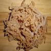 Organic SEA Moss (RAW) 1 LB - Irish Moss DR SEBI NDQ view 4