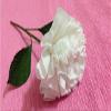 Set of 10 Packs of 35 White Tissue Paper (350 Sheets!) - Perfect for Easy Gift Giving and Decoration! Great for Crafts and DIY Projects! view 4