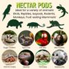 Nectar Pods (Mango) - Calcium-Fortified Jelly Fruit Treat - Sugar Gliders, Marmosets, Squirrels, Parrots, Cockatiels, Parakeets, Lovebirds, Conures, Hamsters, Day Geckos, Kinkajous & Other Small Pets view 2