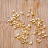 Amish Country Popcorn | 50 Lb Bag Ladyfinger Kernels | Old Fashioned, Non-GMO and Gluten Free (50lb Bag) view 2