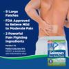 Salonpas Pain Relief Patches Large - 9 ct, Pack of 5 view 2