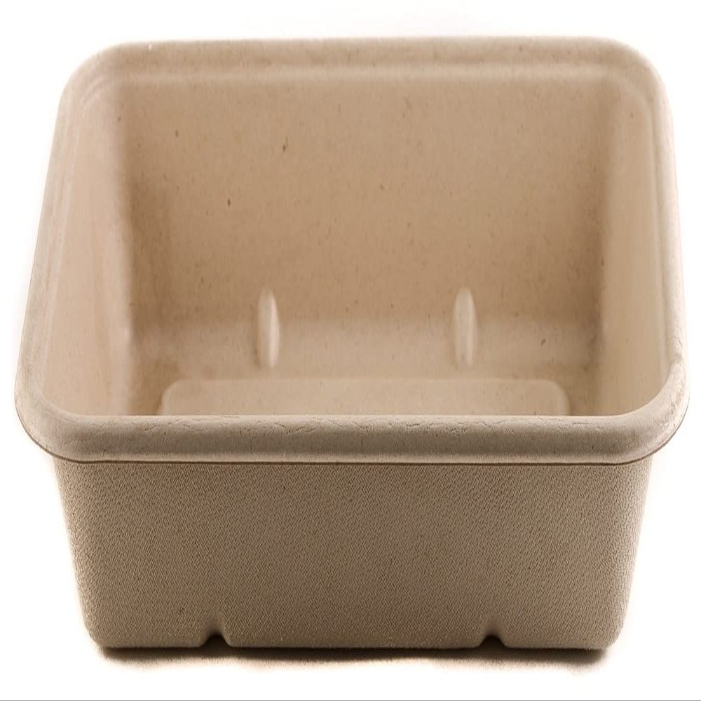 [100 Pack] 29oz Compostable Eco Friendly Container Trays - Rectangular Oblong Tree Free Sugarcane Bagasse Meal Prep Bento Boxes Take Out Catering Microwavable Deep Container by EcoQuality