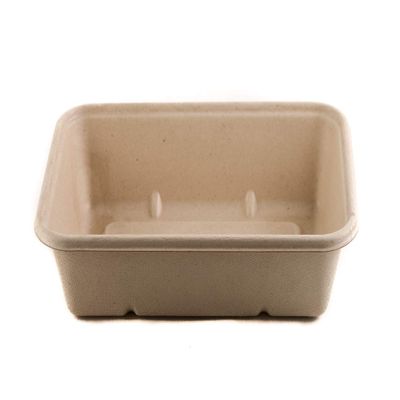 [150 Pack] 29oz Compostable Eco Friendly Container Trays - Rectangular Oblong Tree Free Sugarcane Bagasse Meal Prep Bento Boxes Take Out Catering Microwavable Deep Container by EcoQuality