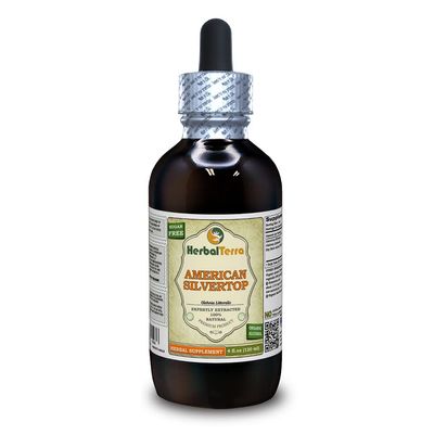 American Silvertop (Glehnia Littoralis) Tincture, Dried Root Liquid Extract (Brand Name: HerbalTerra, Proudly Made in USA) 4 fl.oz (120 ml)