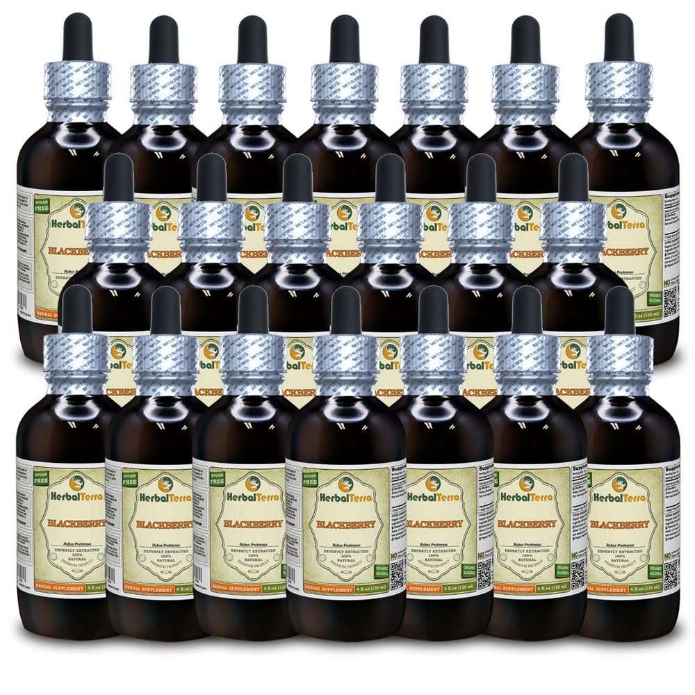 BlackBerry (Rubus fruticosus) Tincture, Organic Dried Leaves Liquid Extract (Brand Name: HerbalTerra, Proudly Made in USA) 20x4 fl.oz (20x120 ml)