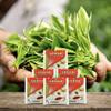 Akbar, Premium Ceylon Black Tea, Single Origin Low Elevation Tea, Paper Envelope Teabags, 200 tea-bags, frustration free bulk packaging of 200 bags view 1