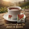Akbar, Premium Ceylon Black Tea, Single Origin Low Elevation Tea, Paper Envelope Teabags, 200 tea-bags, frustration free bulk packaging of 200 bags view 2