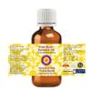 Deve Herbes Pure Myrrh Essential Oil (Commiphora myrrha) Steam Distilled 100ml (3.38 oz) view 2