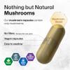 BIO KRAUTER Mushroom Complex for Immune Support 12-in-1 Lions Mane, Turkey Tail, Cordyceps, Chaga, Maitake, Reishi and More - 2100 mg per Serving 100 Caps, No Fillers, Non-GMO, 33 Days of Supply view 4