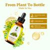 SVA Rue Essential Oil  1 Fl Oz  100% Natural Rue Oil - for Diffuser, Hair Care, Face, Skin Care, Aromatherapy, Scalp and Body Massage, Soap and Candle Making - with Dropper view 4