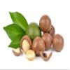 US Organic Macadamia Nut Oil Unrefined Virgin, Certified Organic, Pure & Natural, Cold Pressed, Sourced in Kenya, in Amber Glass Bottle w/Glass Eye dropper for Easy Application (4 oz (Large)) view 4