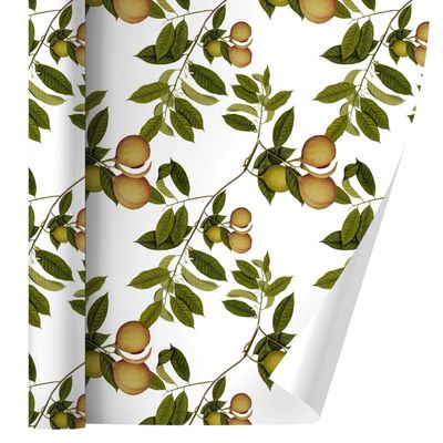 GRAPHICS & MORE Fruit Tree Pattern Gift Wrap Wrapping Paper Rolls