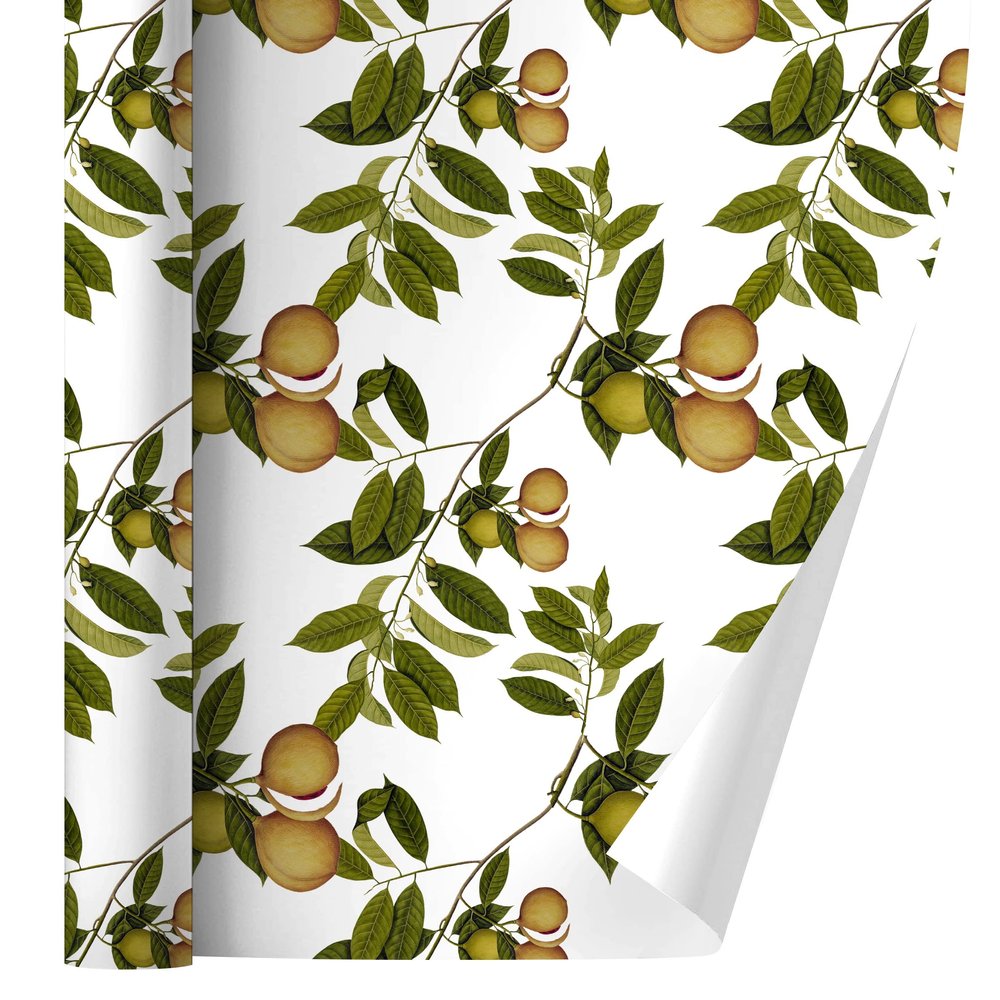 GRAPHICS & MORE Fruit Tree Pattern Gift Wrap Wrapping Paper Rolls