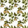 GRAPHICS & MORE Fruit Tree Pattern Gift Wrap Wrapping Paper Rolls view 2