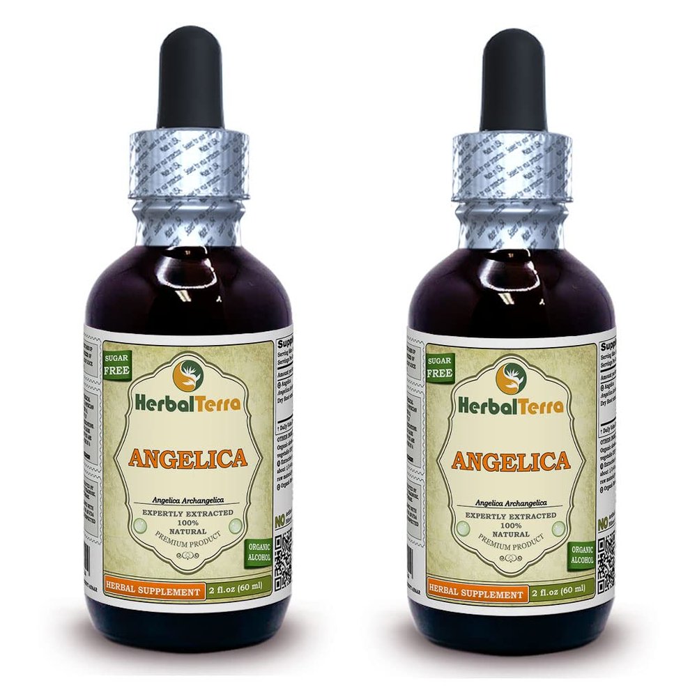 Angelica (Angelica Archangelica) Tincture, Organic Dried Root Liquid Extract (Brand Name: HerbalTerra, Proudly Made in USA) 2x2 fl.oz (2x60 ml)
