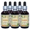 Albizia (Albizia julibrissin) Tincture, Dried Flower Liquid Extract (Brand name: HerbalTerra, Proudly made in USA) 5x2 fl.oz (5x60 ml) view 1