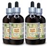 Aloe Vera (Aloe Vera) Tincture, Organic Dried Leaf Liquid Extract (Brand Name: HerbalTerra, Proudly Made in USA) 4x4 fl.oz (4x120 ml) view 1