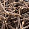 African Chew Sticks - Natural Licorice Root Sticks - 100 grams (1/4 lb) Approximately 10-15 Pieces - Assorted Length - All Natural, Vegan, Halal view 4